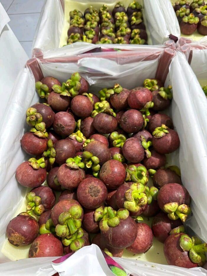 Mangosteen - Gambar 8